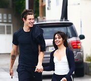 Shawnas Mendesas ir Camila Cabello