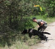 Pasieniečių tarnybinių &scaron;unų čempionato akimirkos