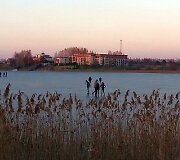 Pavasario ženklai Pilaitėje