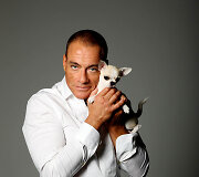 Jeano-Claude'o Van Damme'o fotosesijos su čihuahua kadrai (2011 m.) 