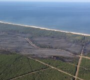 Kur&scaron;ių nerija atsikvėpė &ndash; per kelias valandas beveik 70 hektarų pusiasalio mi&scaron;kų nusiaubęs gaisras numal&scaron;intas.