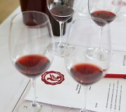 &bdquo;Vino Nobile di Montepulciano D.O.C.G. 2013&ldquo; degustacija
