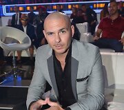 Pitbullis