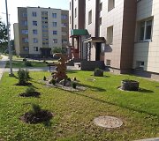 Roma Liutkevičienė puoselėja daugiabučio kiemą
