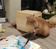 Spalis &bdquo;Zoopark&ldquo; &ndash; i&scaron;skirtinės pramogos ir nemokamos ekskursijos