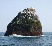 Rockall sala