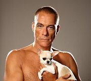 Jeano-Claude'o Van Damme'o fotosesijos su čihuahua kadrai (2011 m.) 