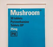 Damieno Hirsto darbas i&scaron; serijos &bdquo;The last supper&ldquo;, eksponuojamas muziejuje &bdquo;Albertina Modern&ldquo;