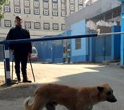 Egipte dingęs italas doktorantas rastas nužudytas ir sudegintas