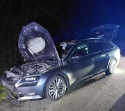 Briedį teko traukti i&scaron; &bdquo;&Scaron;kodos&ldquo; salono