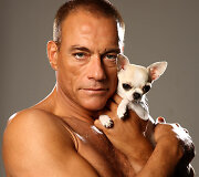 Jeano-Claude'o Van Damme'o fotosesijos su čihuahua kadrai (2011 m.) 