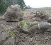 Vieta Varėnos rajone, i&scaron; kurios galimai neteisėtai pasisavinti rieduliai