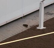 Prie prekybos centro &bdquo;Mega&ldquo; aptiktas sprogmuo