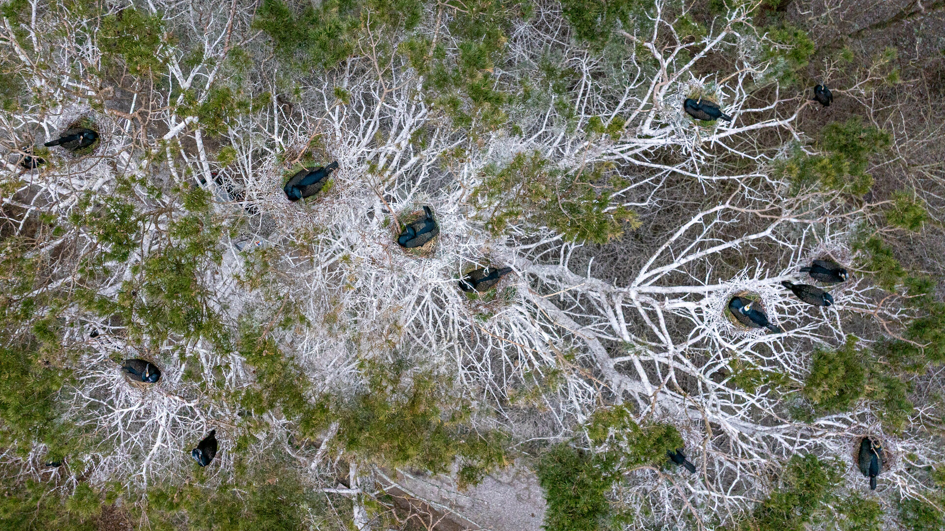 04. V.Balkuno_nuotr._--15