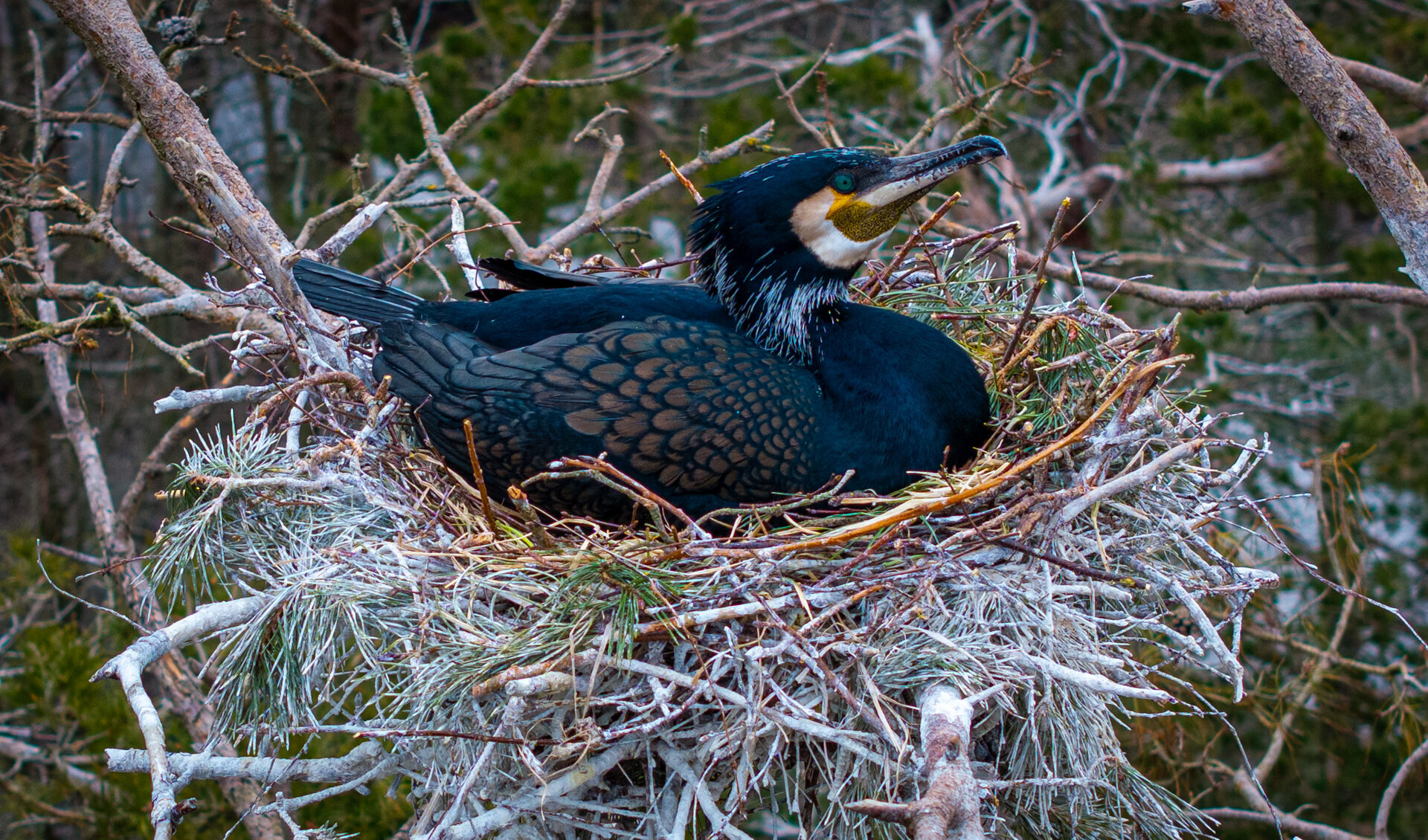 06_V.Balkuno_nuotr._--42