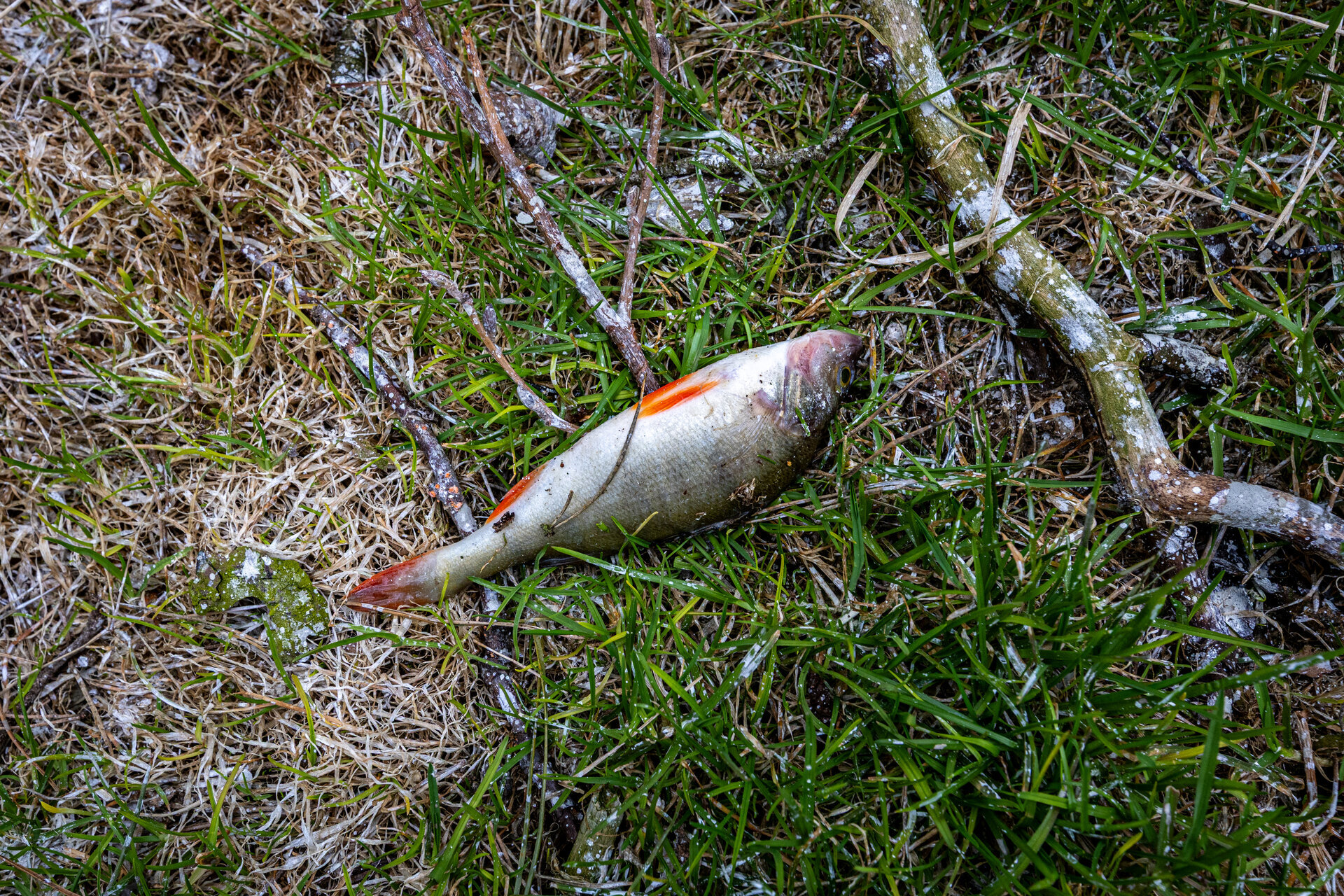 07_V.Balkuno_nuotr._-5349