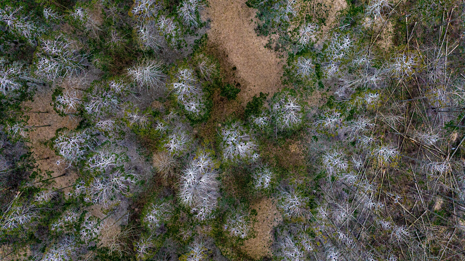 18_V.Balkuno_nuotr._--46