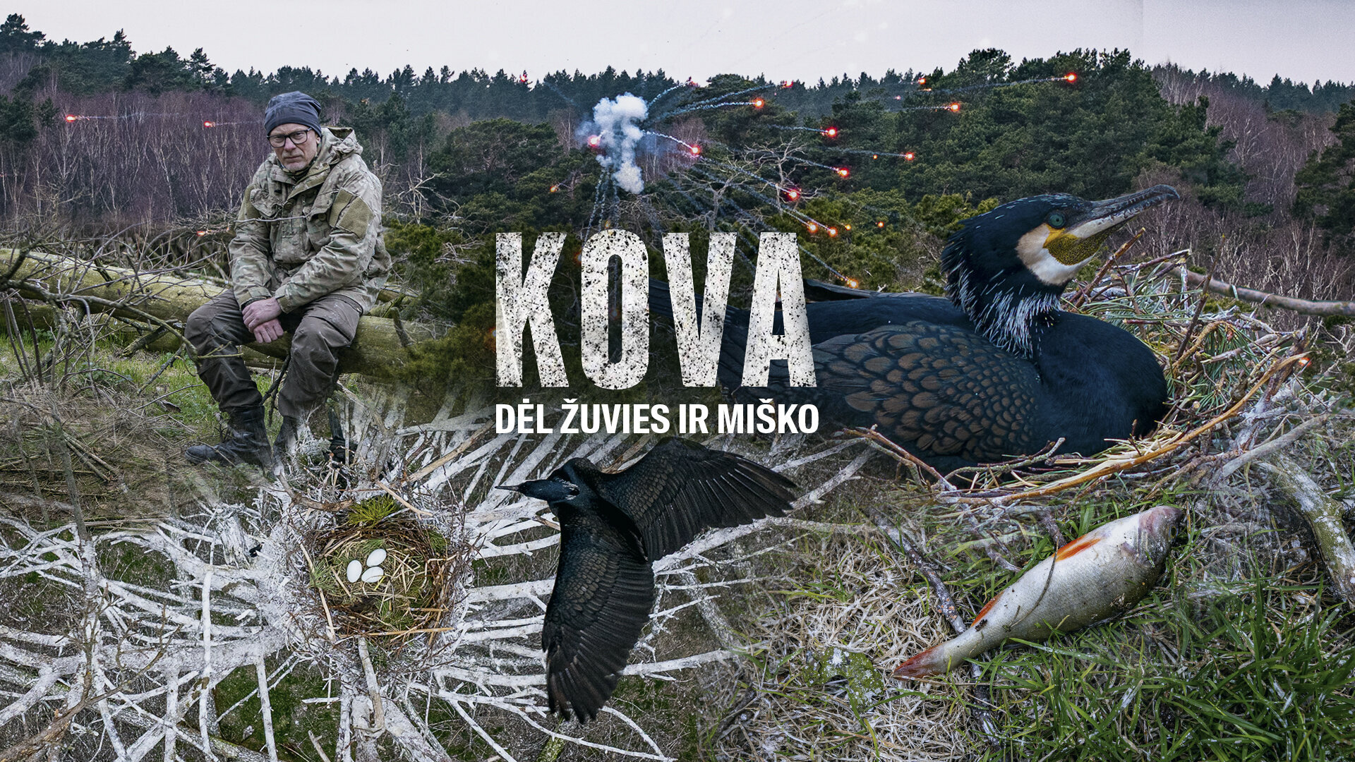 Vir&scaron;elis kormoranai