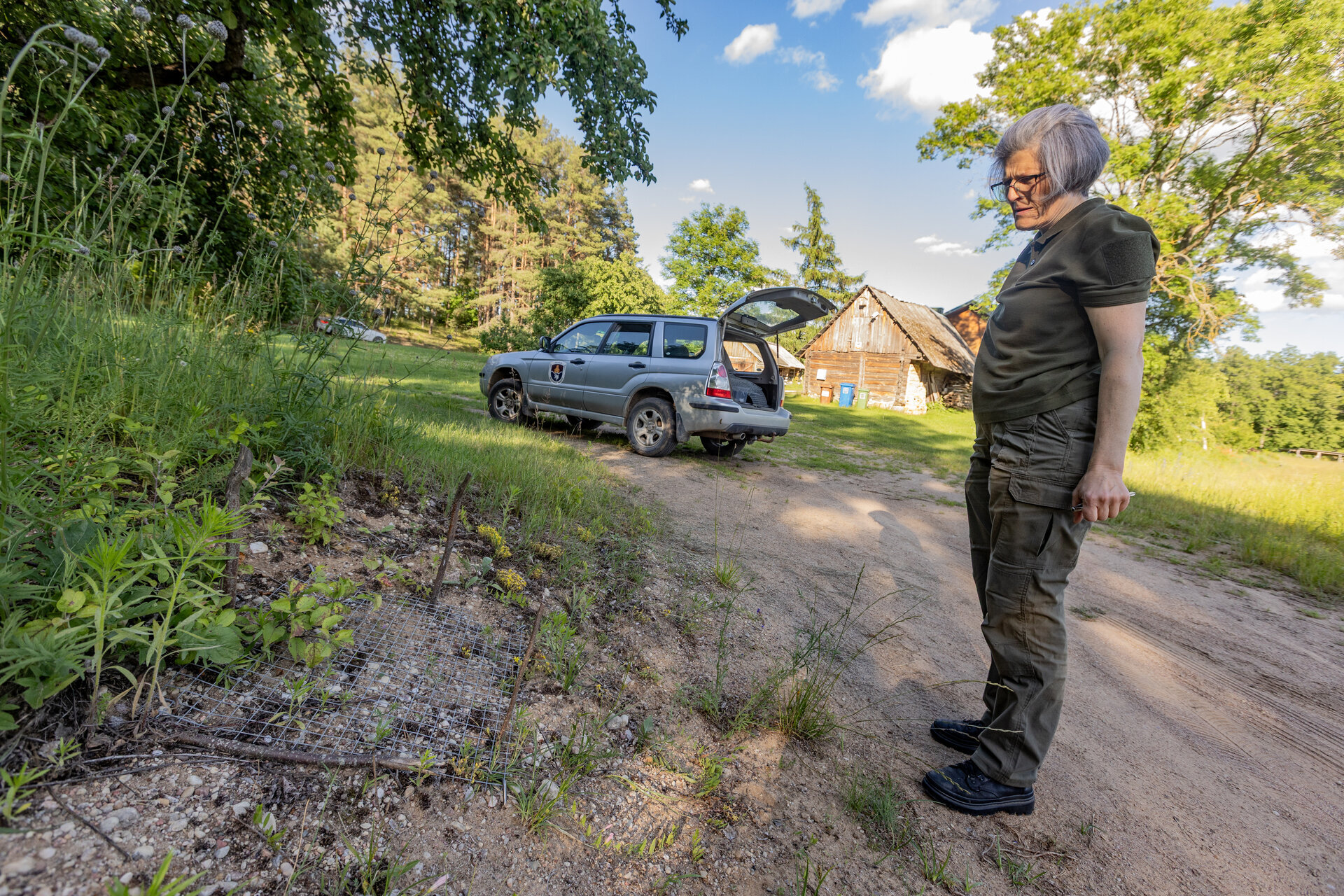 Suradus lizdavietę pirmiausia įvertinama, ar ji pakankamai saugi. Jei kiau&scaron;iniai padėti natūralioje vietoje ir jų nei&scaron;kyla grėsmė sunaikinti, dėtis lieka gamtoje. Tačiau pakelėse, mi&scaron;ko keliukuose ar dirbamuose laukuose padėti kiau&scaron;iniai dažniausiai pasmerkti žūti, todėl priimamas sprendimas juos ge