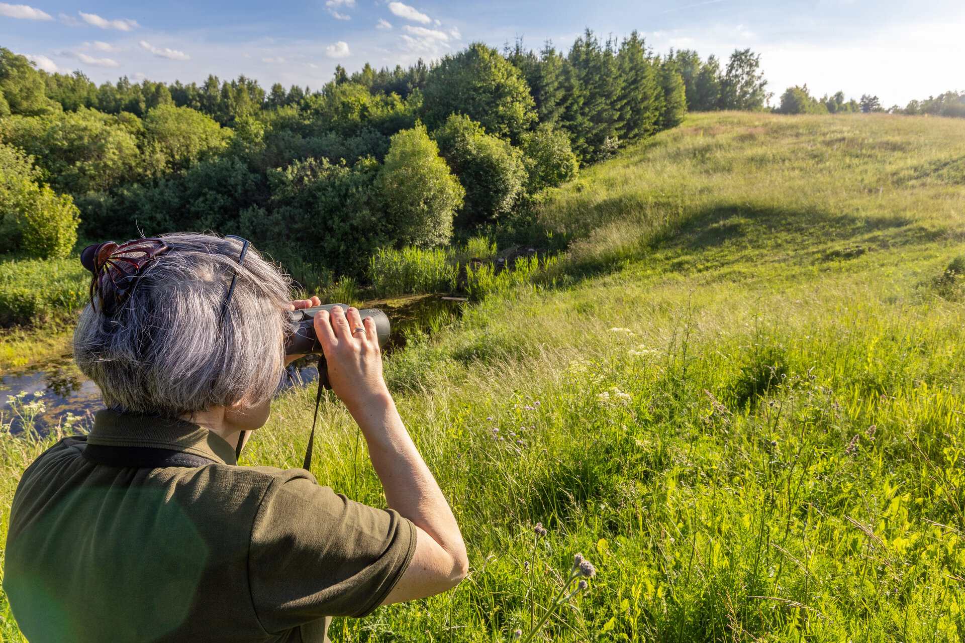 Natūralių atvirų smėlingų aik&scaron;telių Lietuvoje lieka vis mažiau. Todėl balinių vėžlių patelės vis dažniau kiau&scaron;inius deda mi&scaron;ko keliukuose, žvyrkelių pakra&scaron;čiuose ar net dirbamuose laukuose. Tokiose vietose dėtims gresia sunaikinimas. Pai&scaron;kėjus, kad kai kur dėl nepalankių žiemų ir kitų grėsmių žūsta 