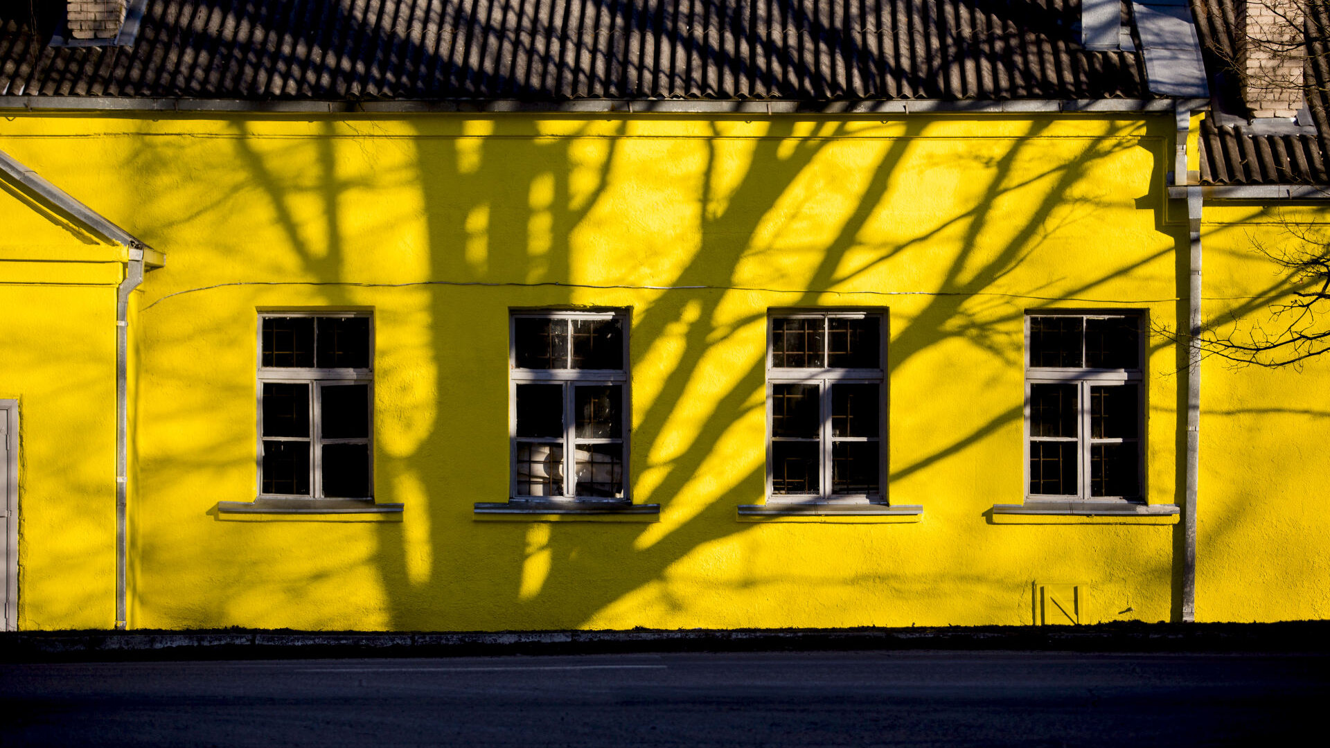 Pravieni&scaron;kės0003