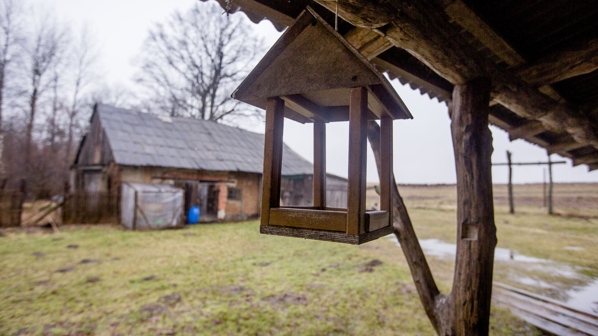 VilkuKampas0051