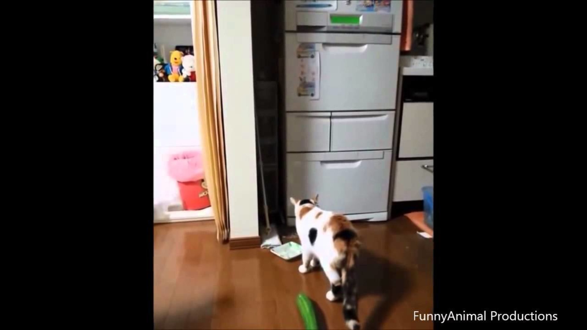 Cats Scared by Cucumbers Compilation 