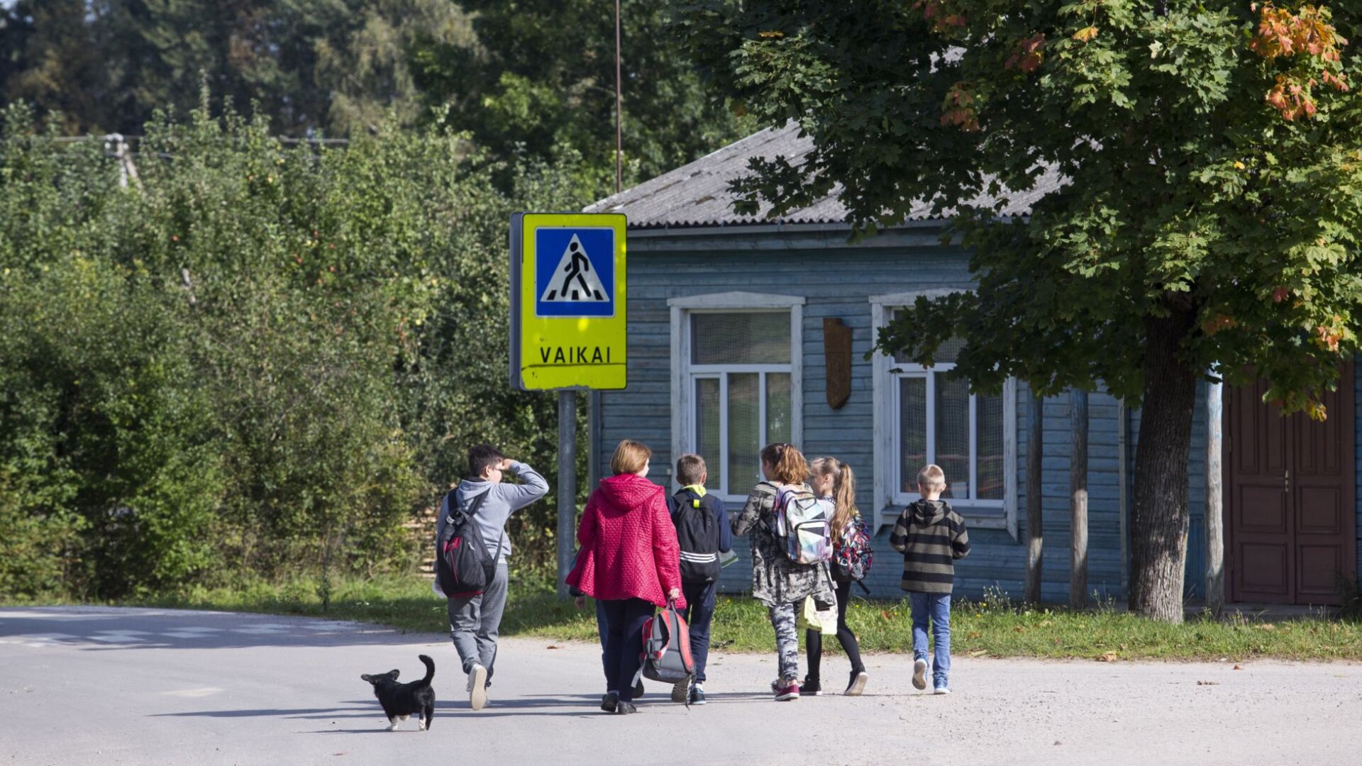 Nedzingės vaikai
