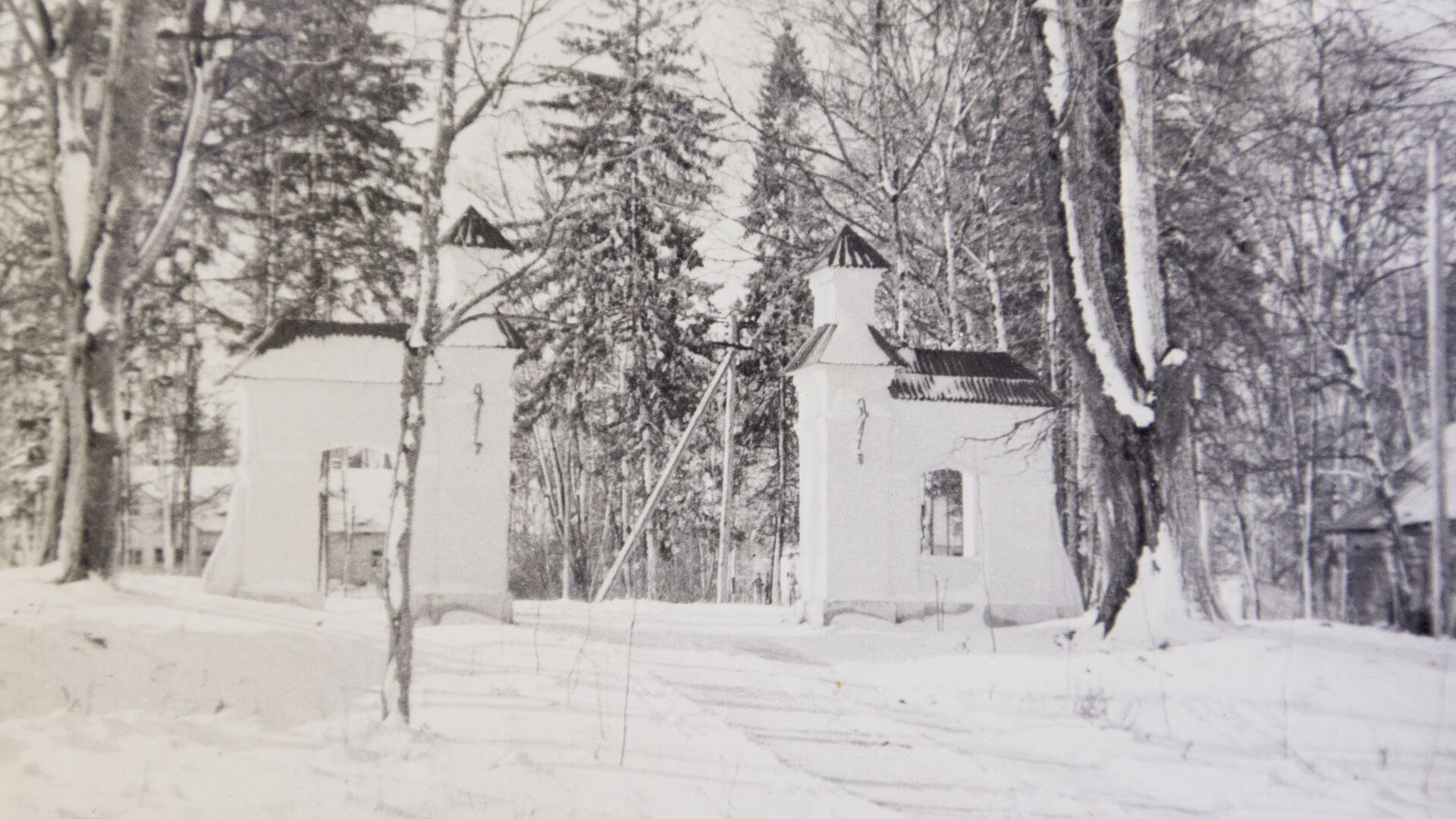 Saukenai0032