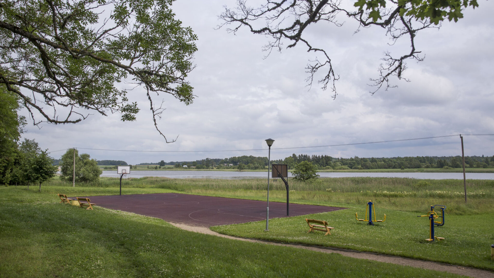 Dirvonenai0047