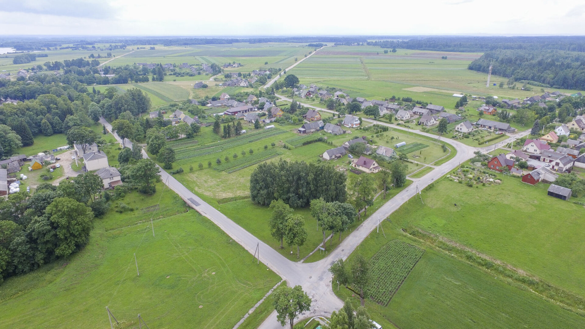 Dirvonenai0015