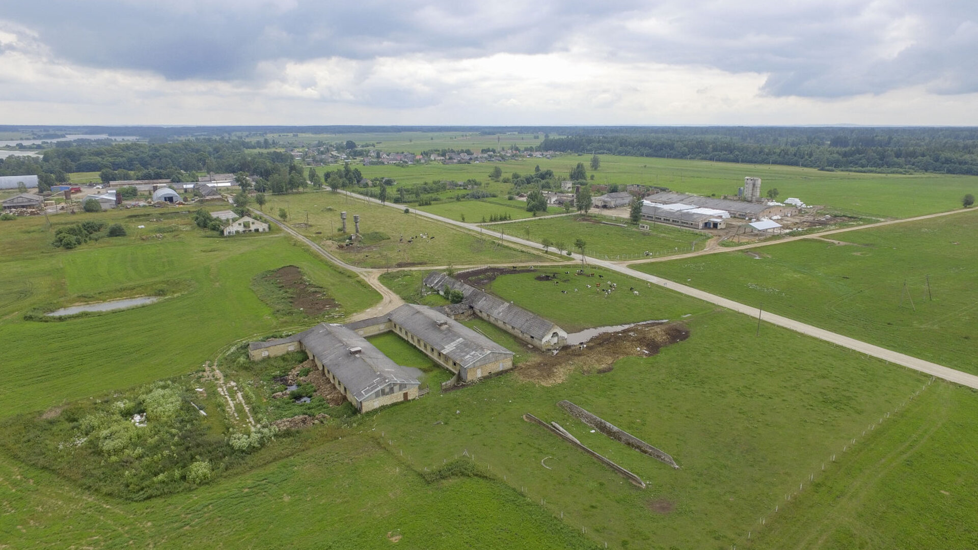 Dirvonenai0009