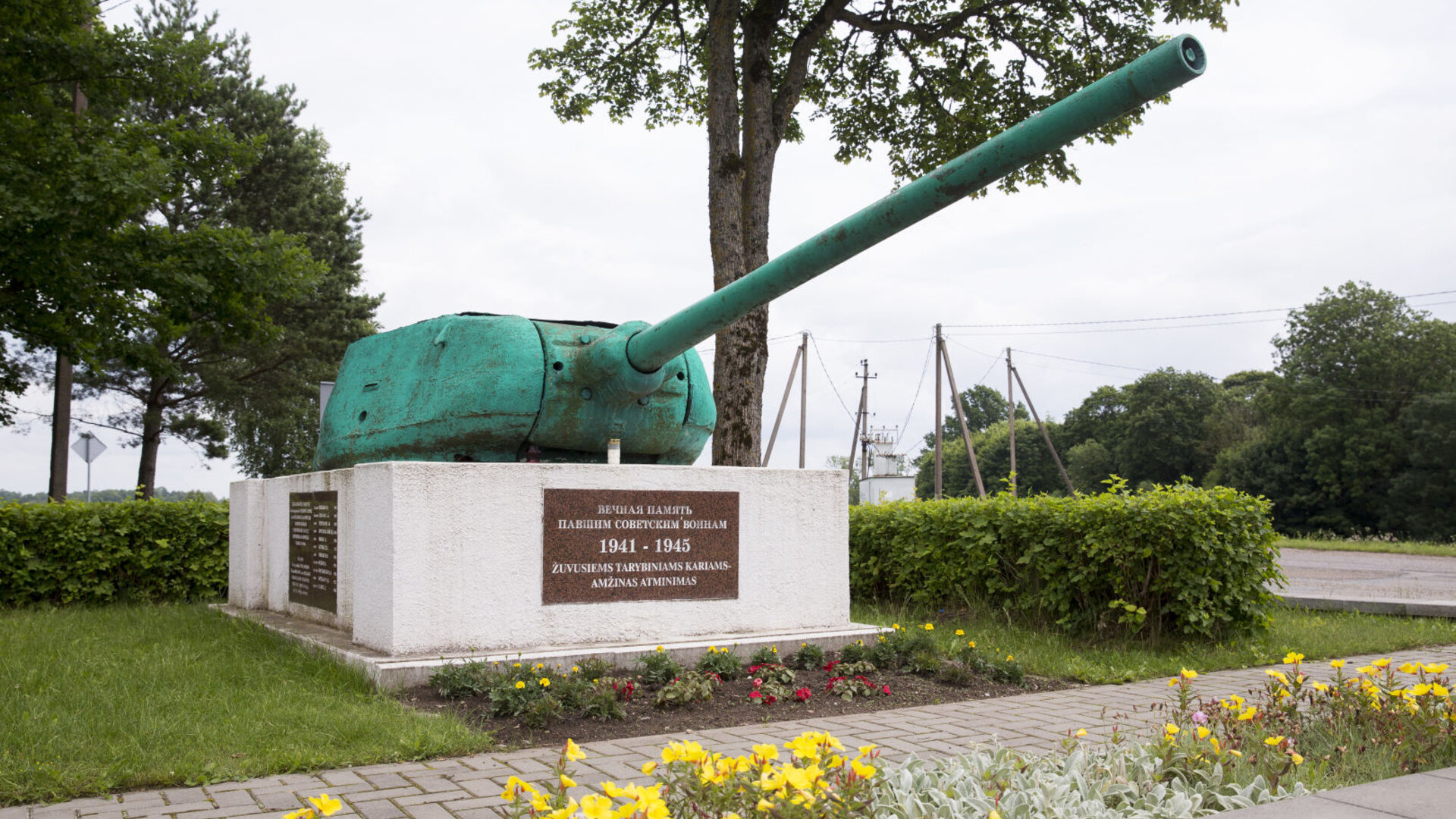 Dirvonenai0046