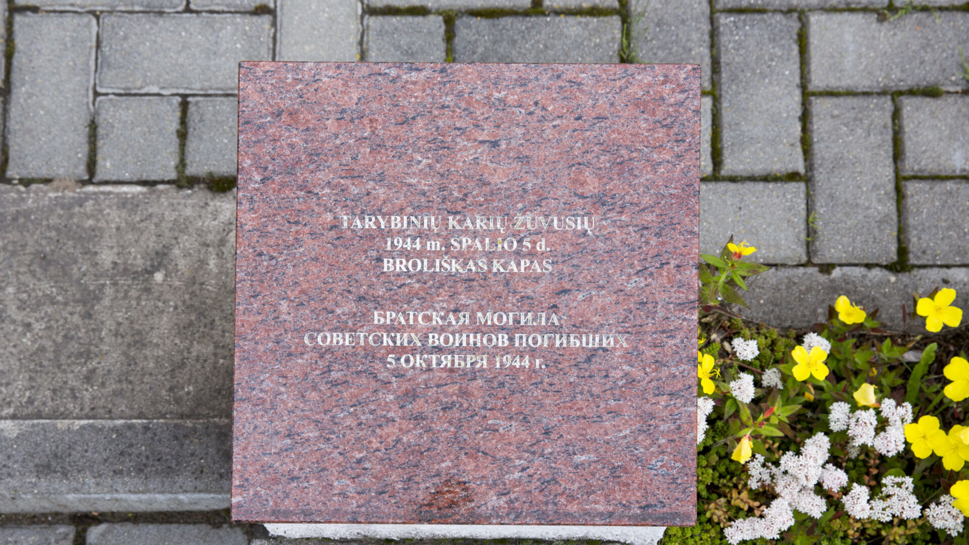 Dirvonenai0044