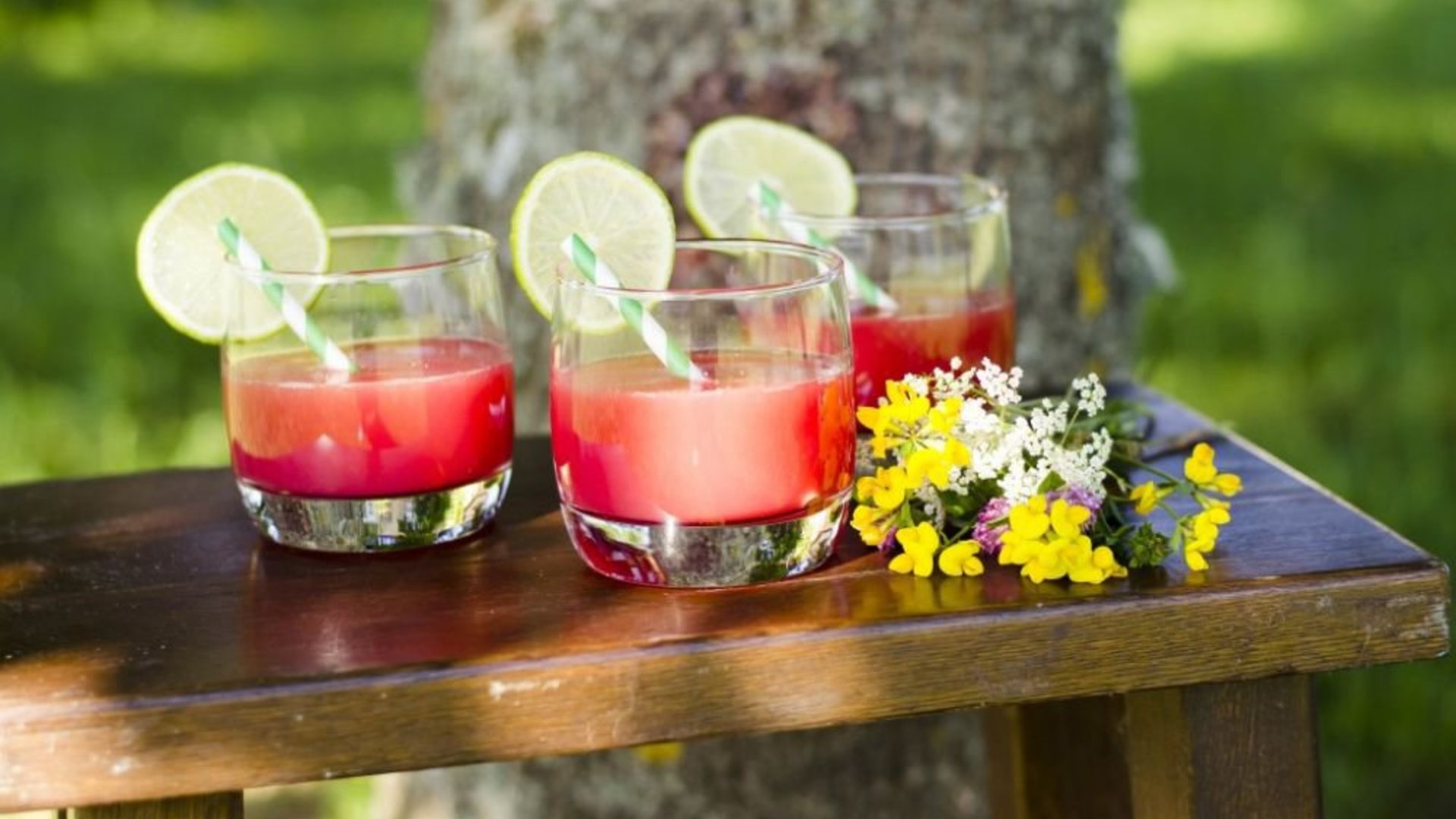 Arbuzų Limonadas Receptas Maistas 15min Lt