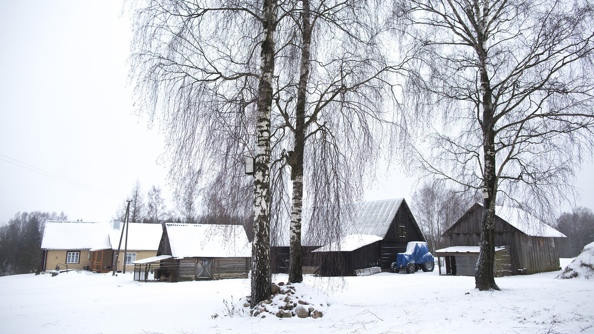 Kęstučiai: Foto6395