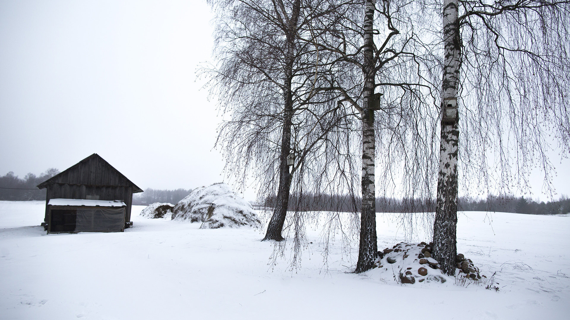 Kęstučiai: Foto6394