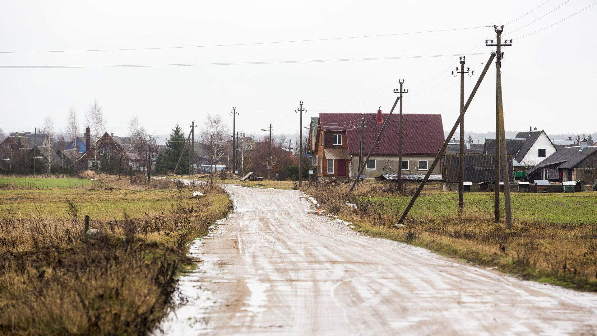 Pavoverė: PAVOVERE0004