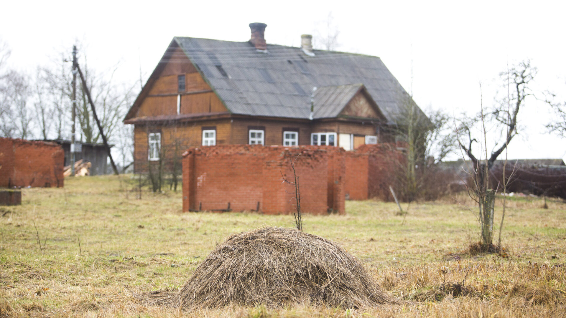 Pavoverė: PAVOVERE0020