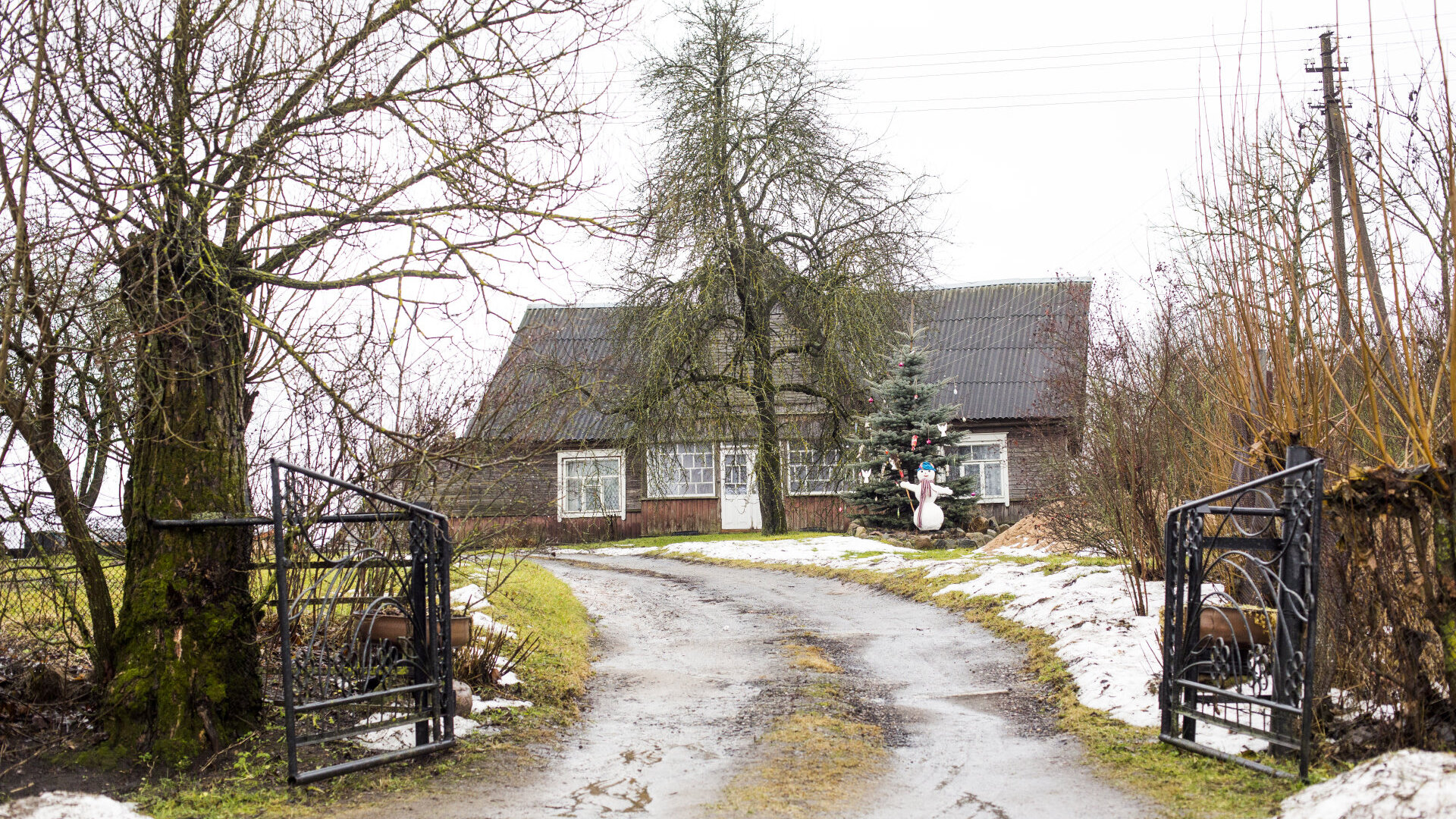 Pavoverė: PAVOVERE0014