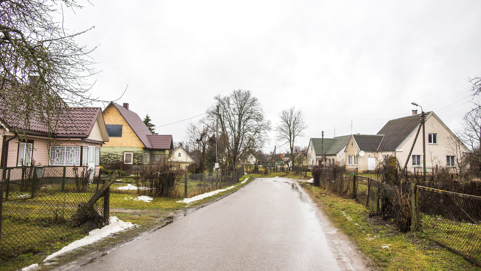 Pavoverė: PAVOVERE0009