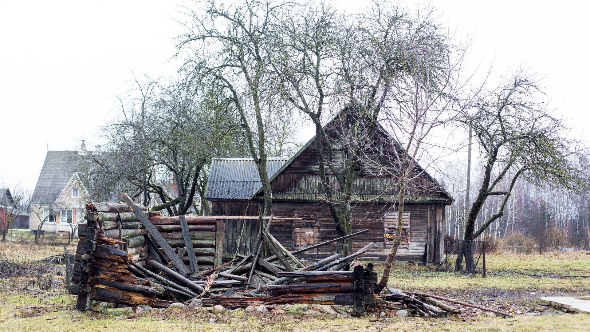 Pavoverė: PAVOVERE0008