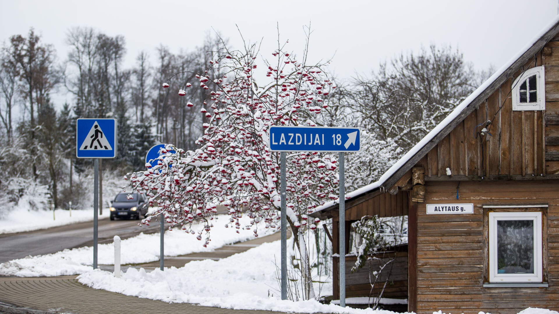 100 lietuvu - Krosna0008