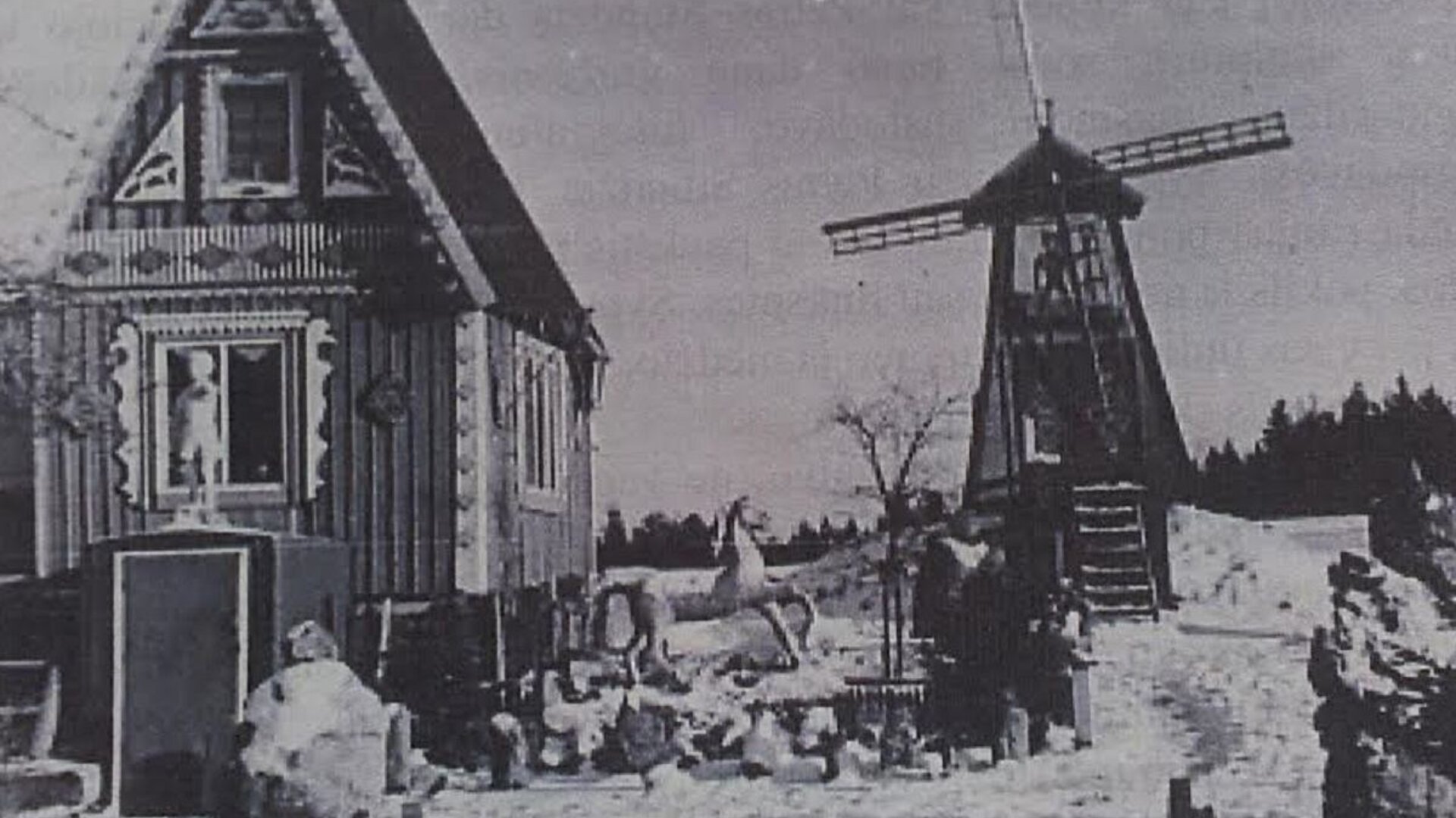 Viciai0042