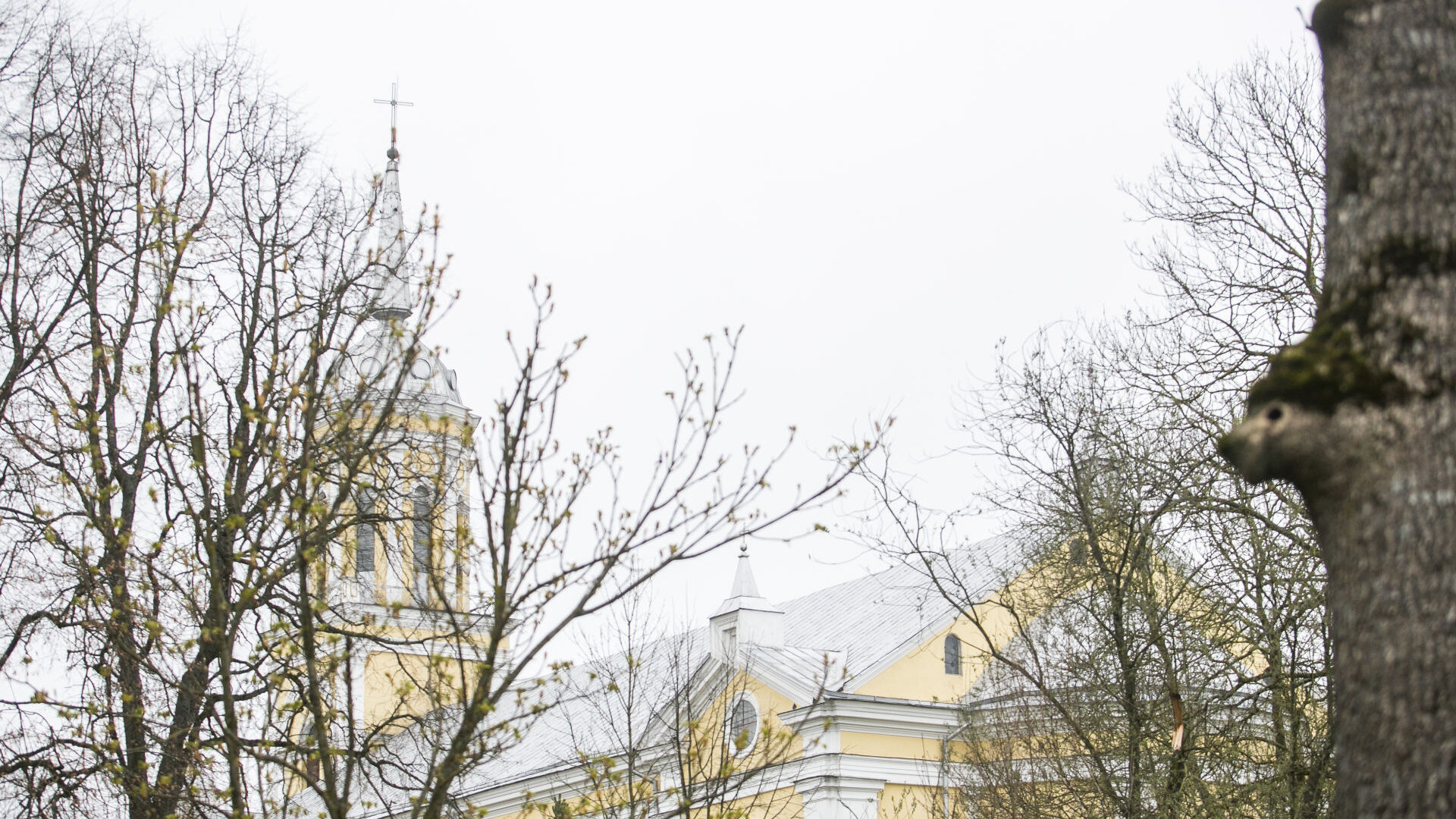 Kavarskas0017