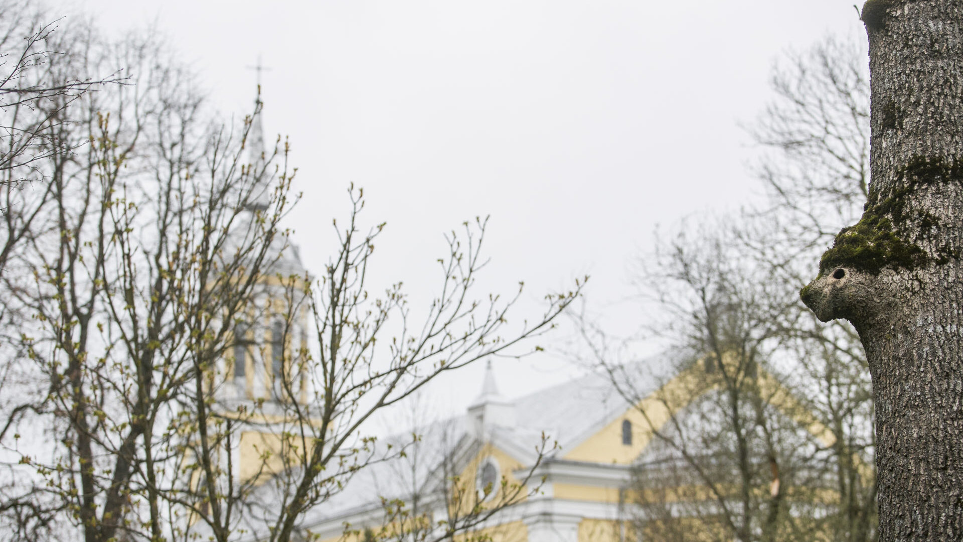 Kavarskas0016