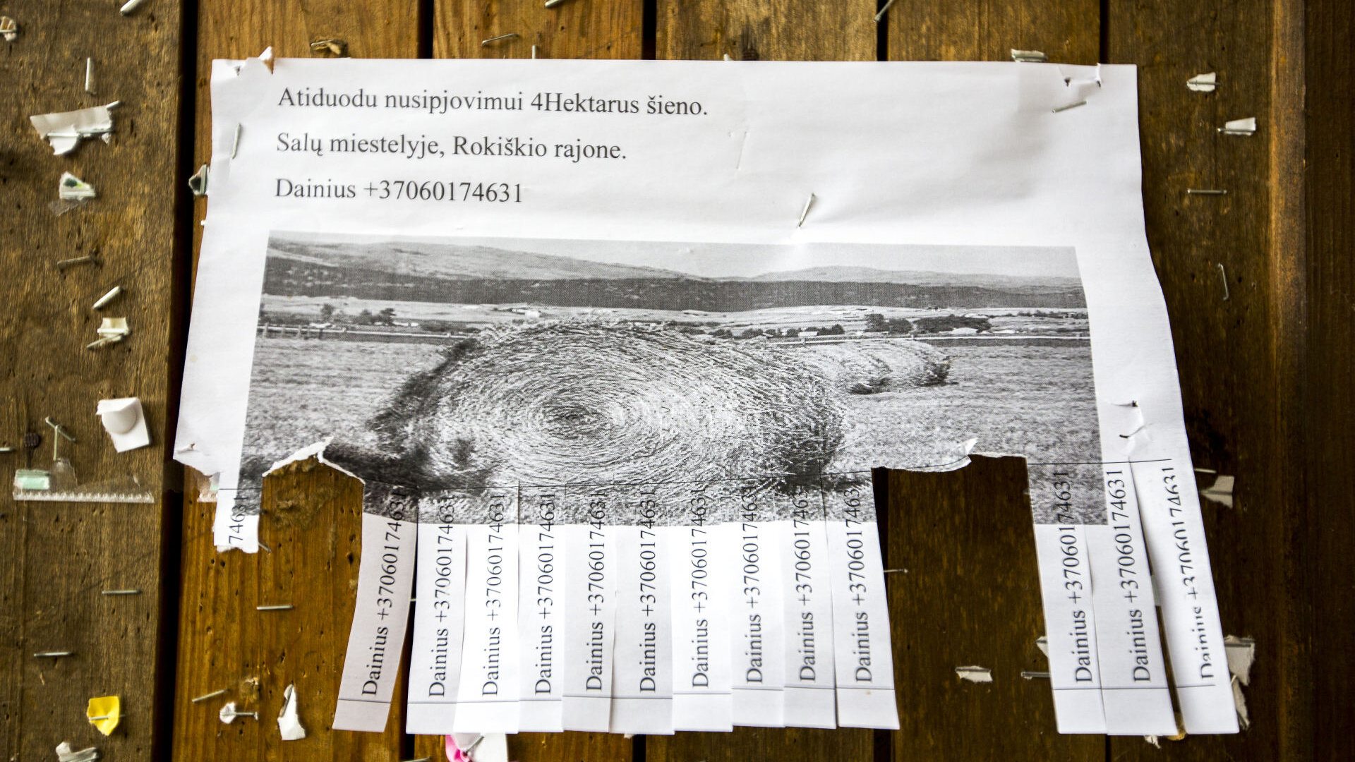 100 lietuvu - Salos0022