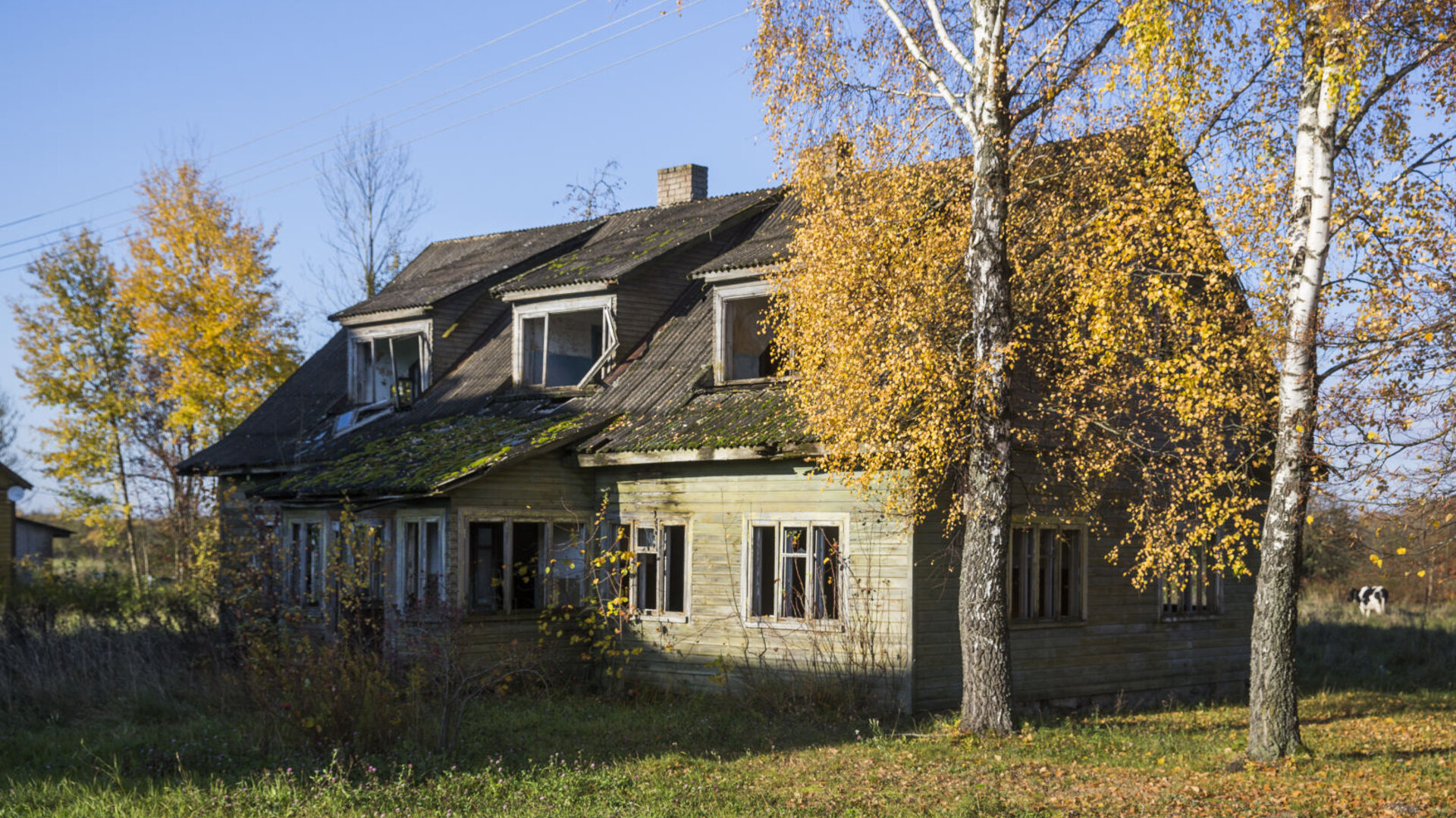 Baltraiti&scaron;kės0024