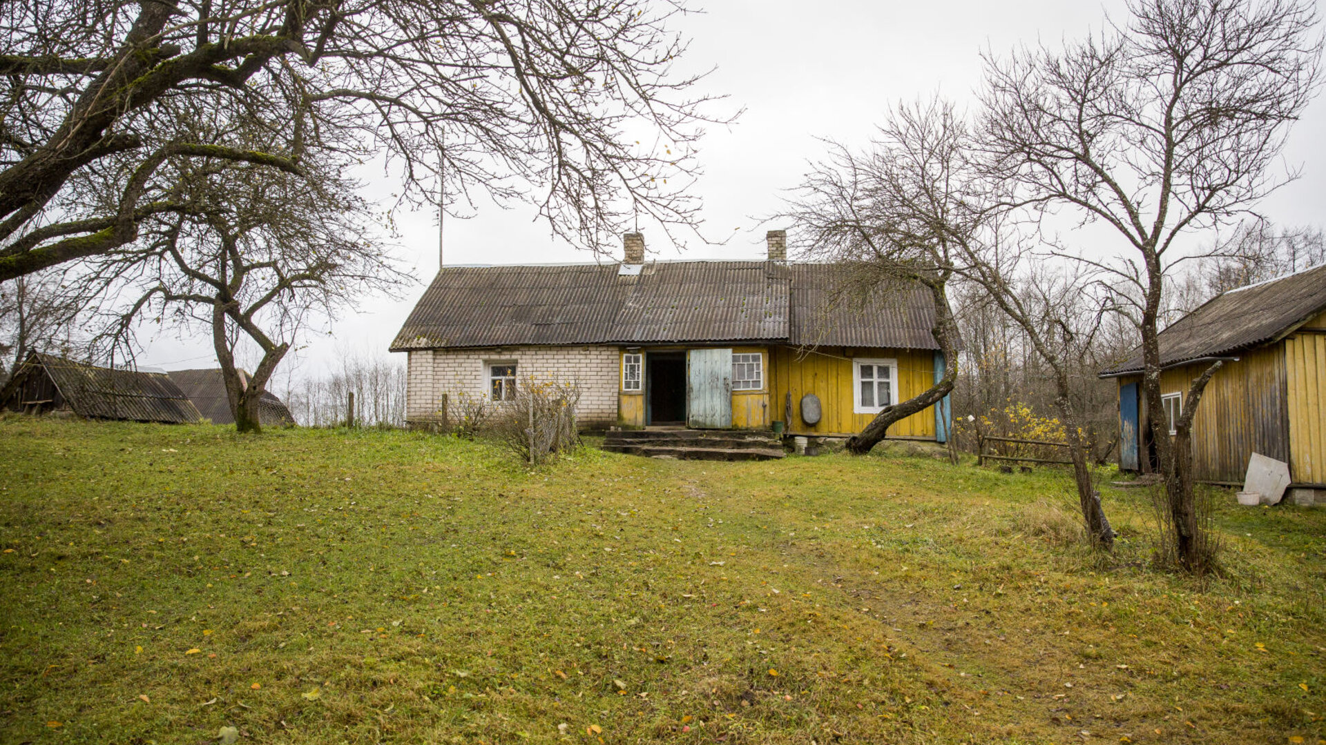Savidenai0024