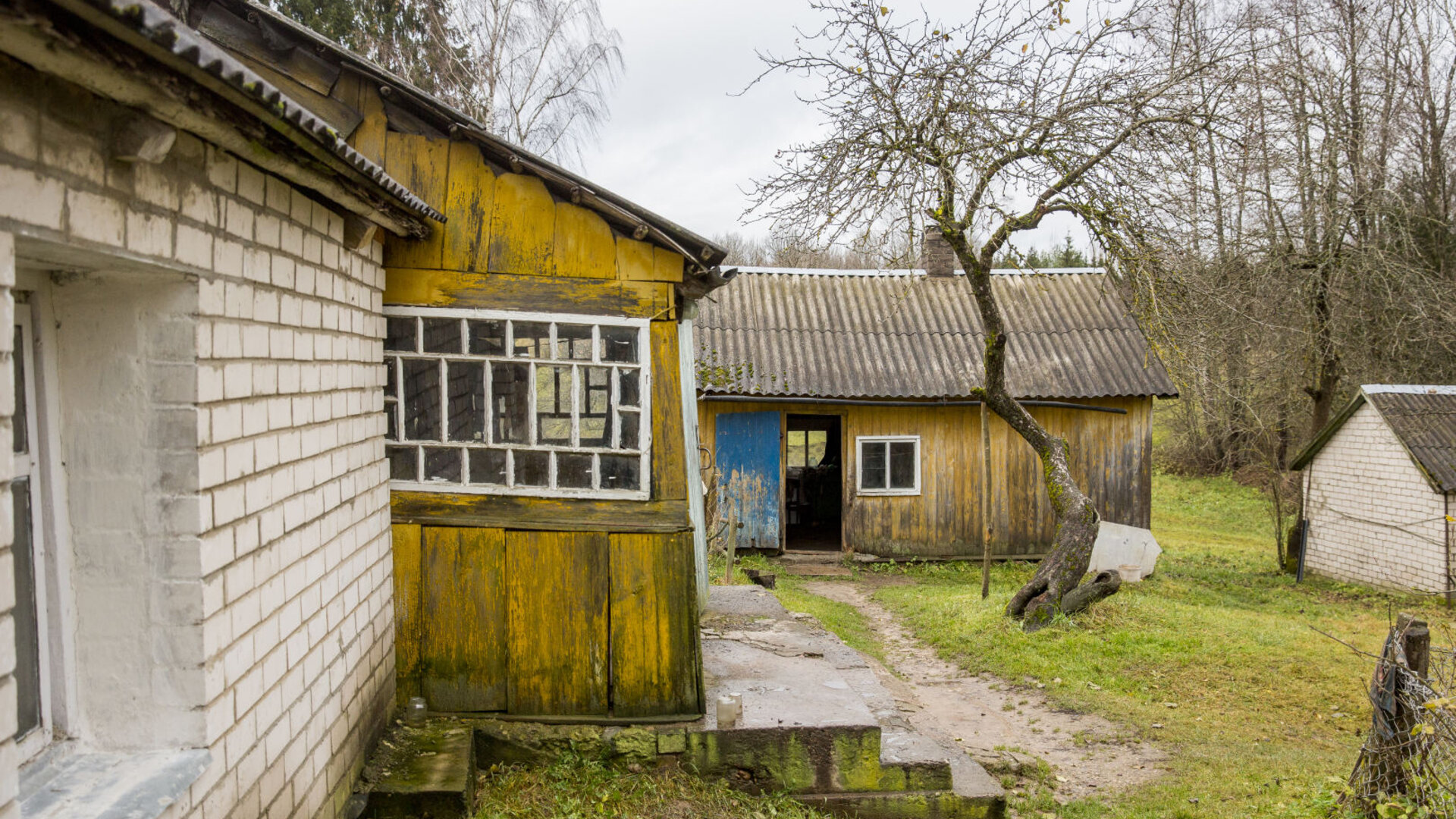Savidenai0025